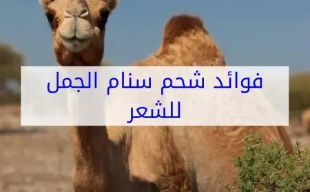 تجربتي مع سنام الجمل للشعر والبشرة