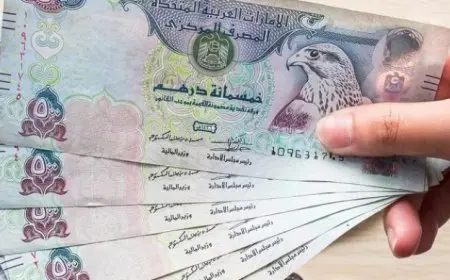 سعر الدرهم الاماراتي اليوم في السوق السوداء مقابل الجنيه المصري وداخل تعاملات البنوك المصرية الاربعاء 4 سبتمبر 2024